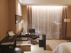 -上海浦东绿地铂骊酒店