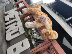 -美罗城