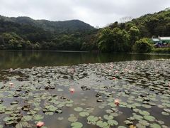 -广州市石门国家森林公园