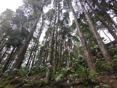 -苍山感通索道