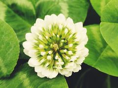 -白塘生态植物园