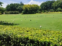 -白鹭洲公园