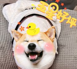 -Lumi露米·美甲美睫品质店