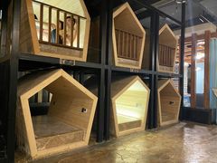 -水王国温泉水世界