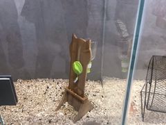 -狗道宠物(常熟印象城店)