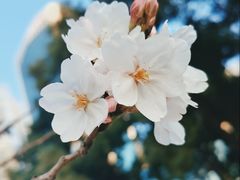 -西北湖绿化广场