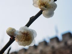 -北京明城墙遗址公园