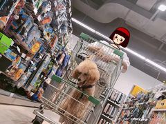 -汪星球宠物生活馆