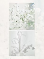 点击看大图 -WECOUTURE高级订制广州