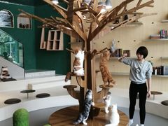 -飞行喵MR PILOT|猫舍·猫咖(静安大融城店)