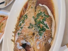 -华盛丰温州大排档(东三环南路店)