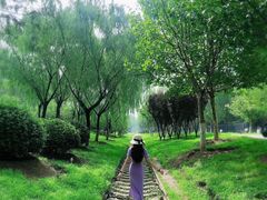 -永定河休闲森林公园