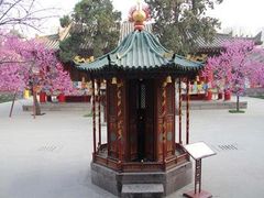 -西安市广仁寺