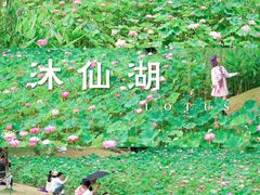 -沐仙湖湿地公园
