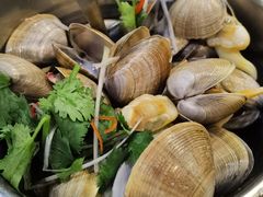 一桶黄蚬-渔娘渔家丹东海鲜(东直门店)