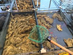 -山东八大碗山东老字号