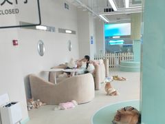 -怪兽屋·羊驼·猫咖·狗咖(俊华广场店)