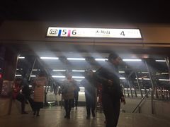 -大龙山(地铁站)