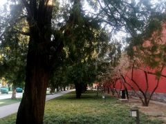 -北京市劳动人民文化宫(太庙)