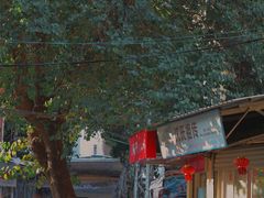 -溪岸路花鸟市场