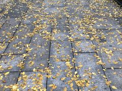 -百林公园-两江幸福广场