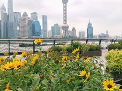 -北外滩滨江绿地