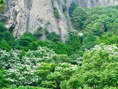 -雁荡山风景名胜区