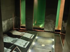 -丽思卡尔顿酒店泳池(金融街店)