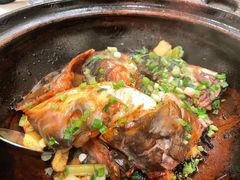 沙窝鱼头煲-沙龙酒家