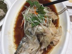 -金蝉食府(维吉奥广场店)