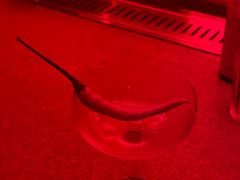 -The Drinkery (瑞金店)
