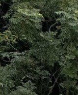 -游子山休闲旅游区
