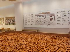 -上海崧泽遗址博物馆