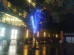 -静安公园(静安寺街道)