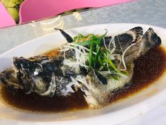 -范饭椰林川湘味海鲜·椰子鸡(三亚湾椰梦长廊店)