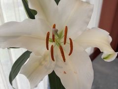 -慢丽江·云南野生菌土鸡锅(付家庄店)