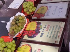 -马陆小张葡萄园农家乐