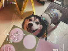 -瑞虹新天地月亮湾