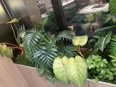 -海底捞火锅(高科广场店)