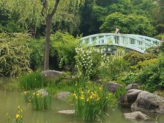-新虹桥中心花园