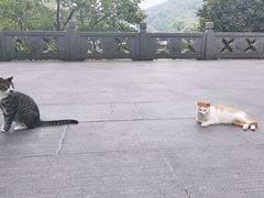 -杭州西湖风景名胜区-三生石