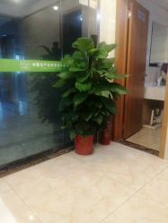 -Dr.林醫生产后修复·配方产康(南京江宁万达店)