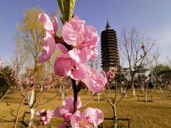 -西海子公园