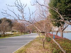 -石湖景区