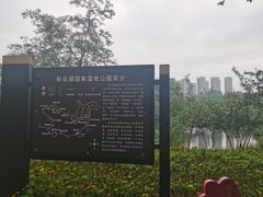 -重庆彩云湖湿地公园