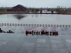 -盐城丹顶鹤湿地生态旅游区