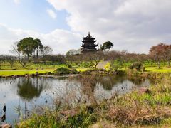 -上海海湾国家森林公园