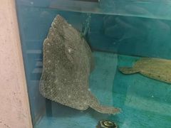 -喜来酌海鲜·饺子(和平一店)