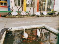 -胡姬港湾幼儿园(张江春晓校区)