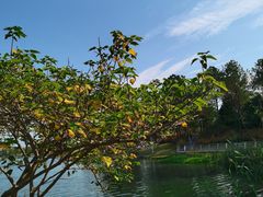 -美兰湖景区